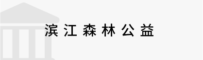 数字政务&政法